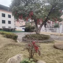 龙岩旅游 缩略图 3