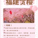 三明旅游 缩略图 3