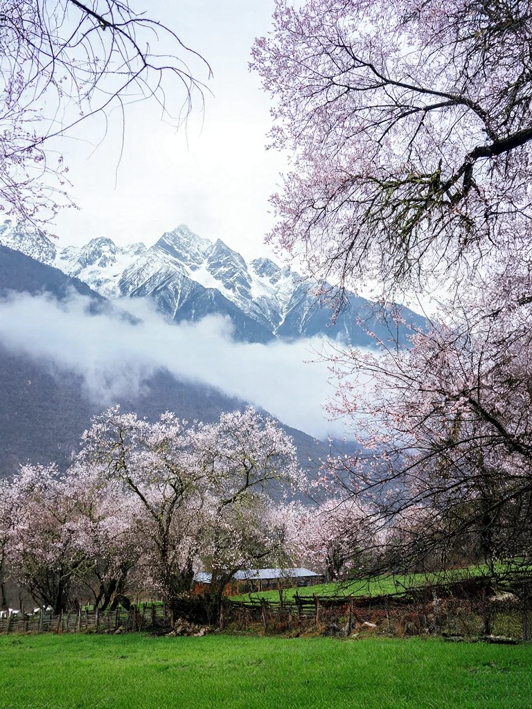 林芝旅游