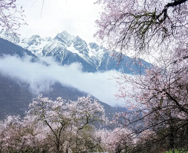 林芝旅游 1