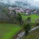 林芝旅游 缩略图 5