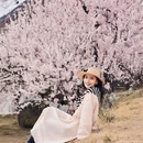 林芝旅游 缩略图 1