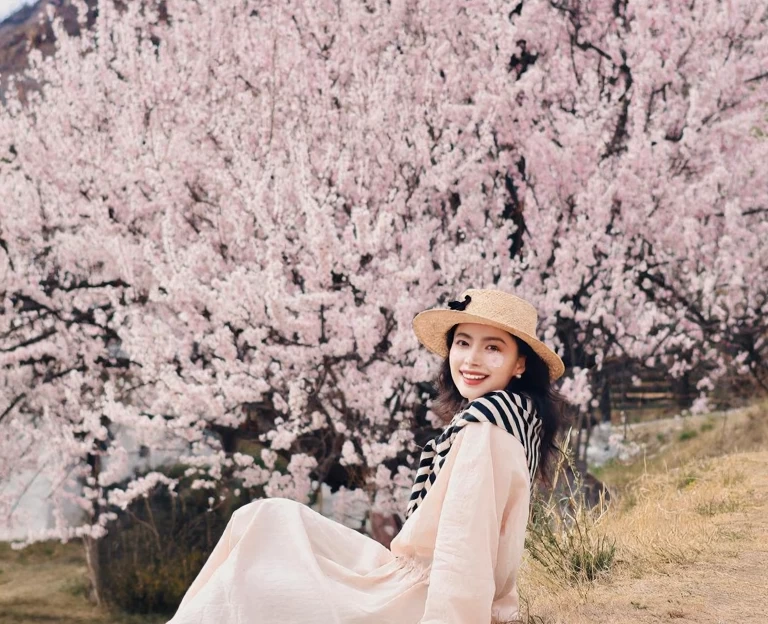 林芝旅游 1