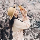 林芝旅游 缩略图 4