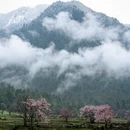 林芝旅游 缩略图 8