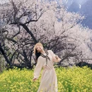 林芝旅游 缩略图 10