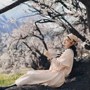林芝旅游 缩略图 6