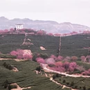 福州旅游 缩略图 2