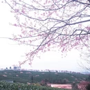 福州旅游 缩略图 5