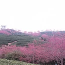 福州旅游 缩略图 4