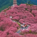 福州旅游 缩略图 1