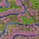 福州旅游 缩略图 2