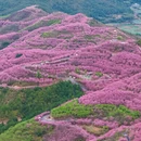 福州旅游 缩略图 5