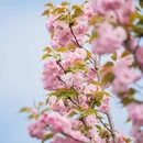 杭州旅游 缩略图 10