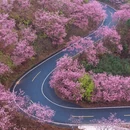 福州旅游 缩略图 4