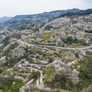 宁波旅游 缩略图 1