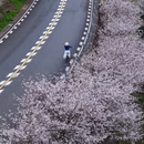 宁波旅游 缩略图 3