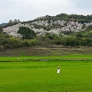 宁波旅游 缩略图 4