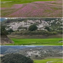 宁波旅游 缩略图 9