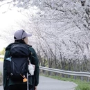 苏州旅游 缩略图 10
