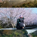 苏州旅游 缩略图 11
