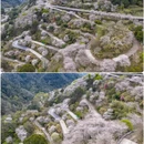 宁波旅游 缩略图 7