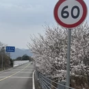 宁波旅游 缩略图 11