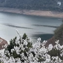 宁波旅游 缩略图 10