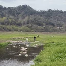 宁波旅游 缩略图 12