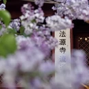 北京旅游 缩略图 2