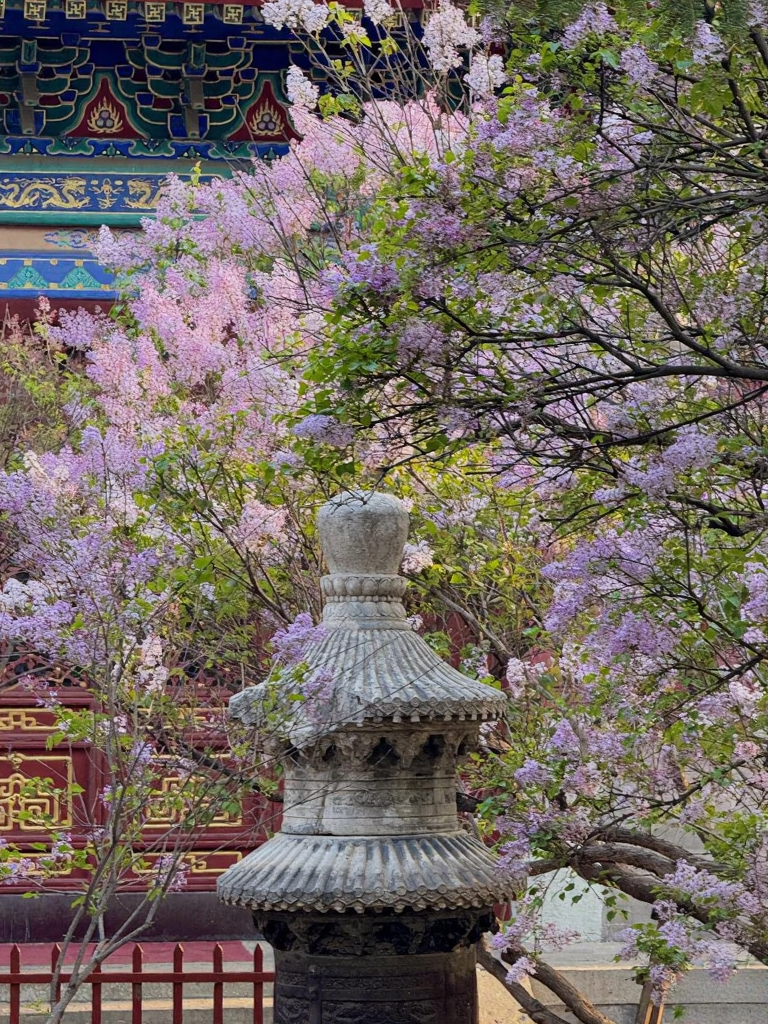 北京旅游