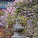 北京旅游 缩略图 1