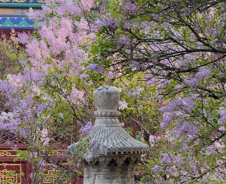 北京旅游 1