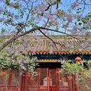 北京旅游 缩略图 4