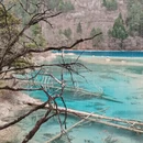 阿坝旅游 缩略图 16