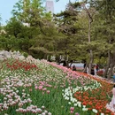 北京旅游 缩略图 8