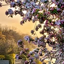 北京旅游 缩略图 5
