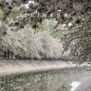 北京旅游 缩略图 10