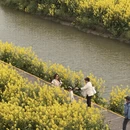 扬州旅游 缩略图 7