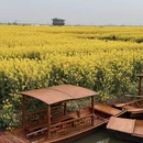 扬州旅游 缩略图 6