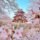 无锡旅游 缩略图 1