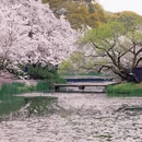 无锡旅游 缩略图 7