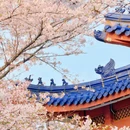 无锡旅游 缩略图 3