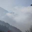 黄山旅游 缩略图 2