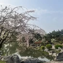 南京旅游 缩略图 5
