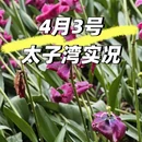 杭州旅游 缩略图 1