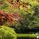 杭州旅游 缩略图 7