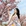 上海