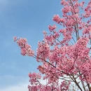 上海旅游 缩略图 8