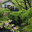 杭州旅游 缩略图 6